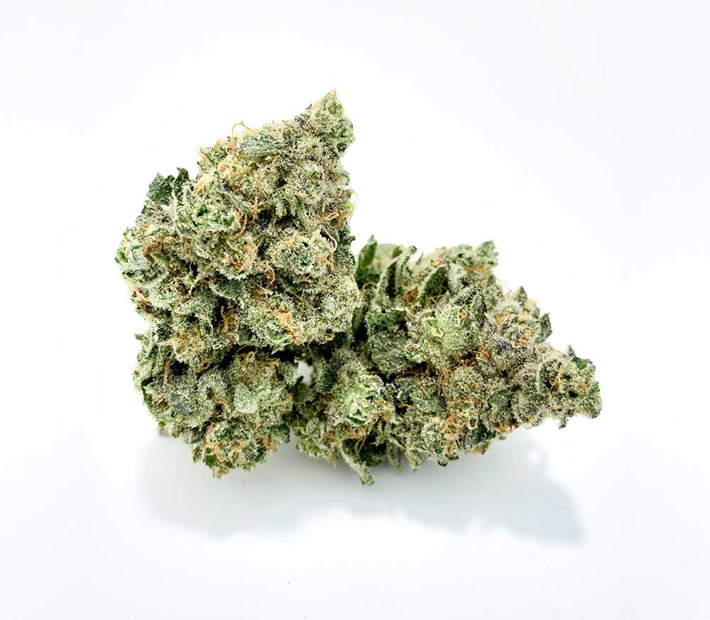 Platinum Huckleberry