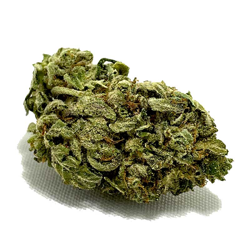 Purple Bubba AA