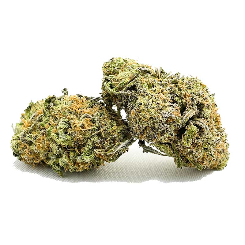 Purple Candy Kush AA