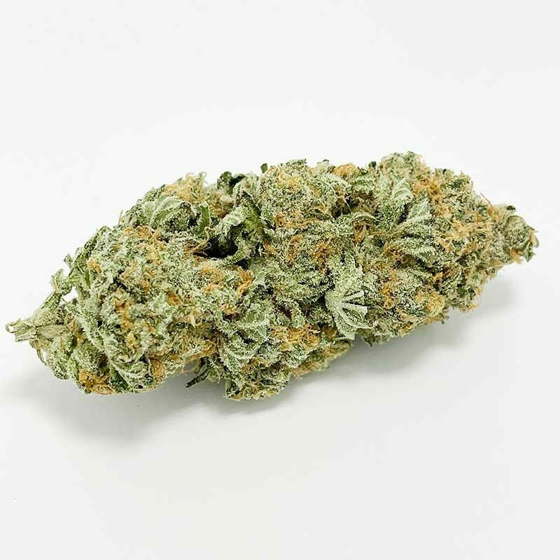 Blueberry Hashplant AAA