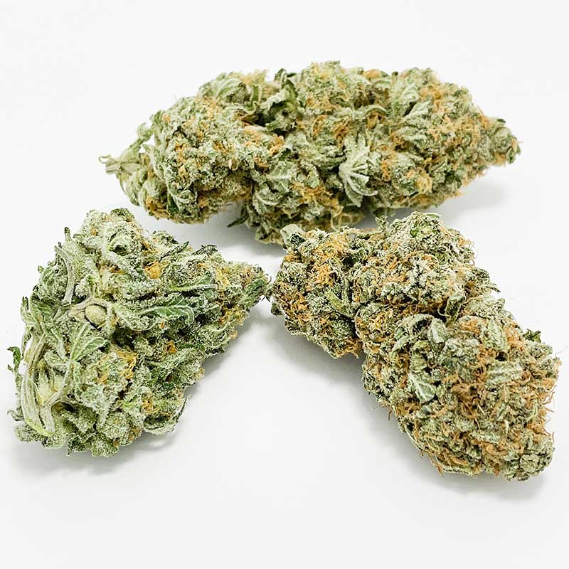 Blueberry Hashplant AAA