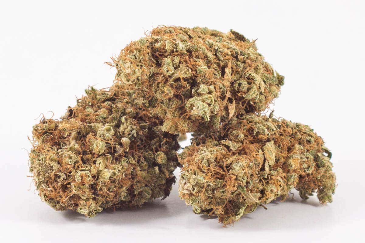 Sour Amnesia