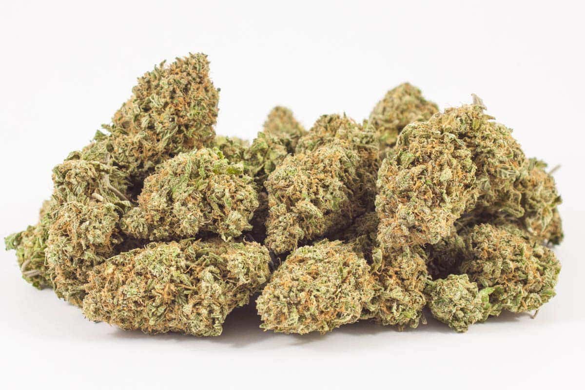 Sour Amnesia Haze