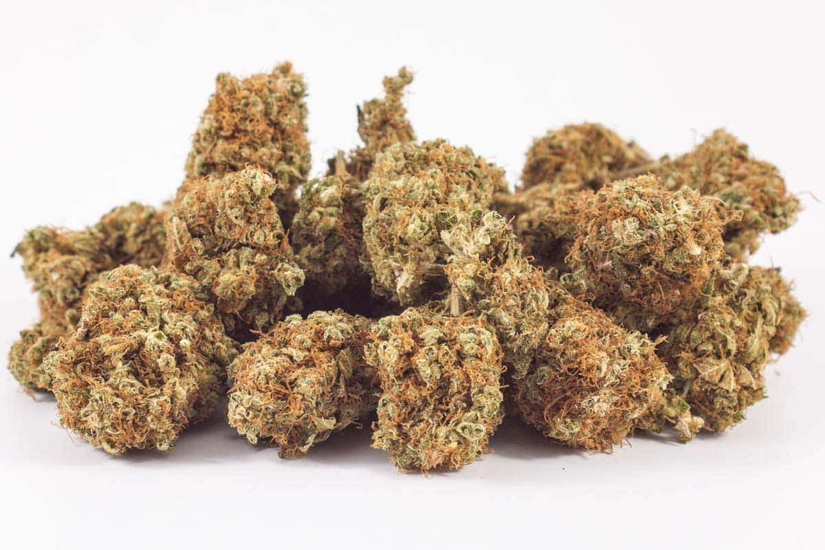 Sour Amnesia