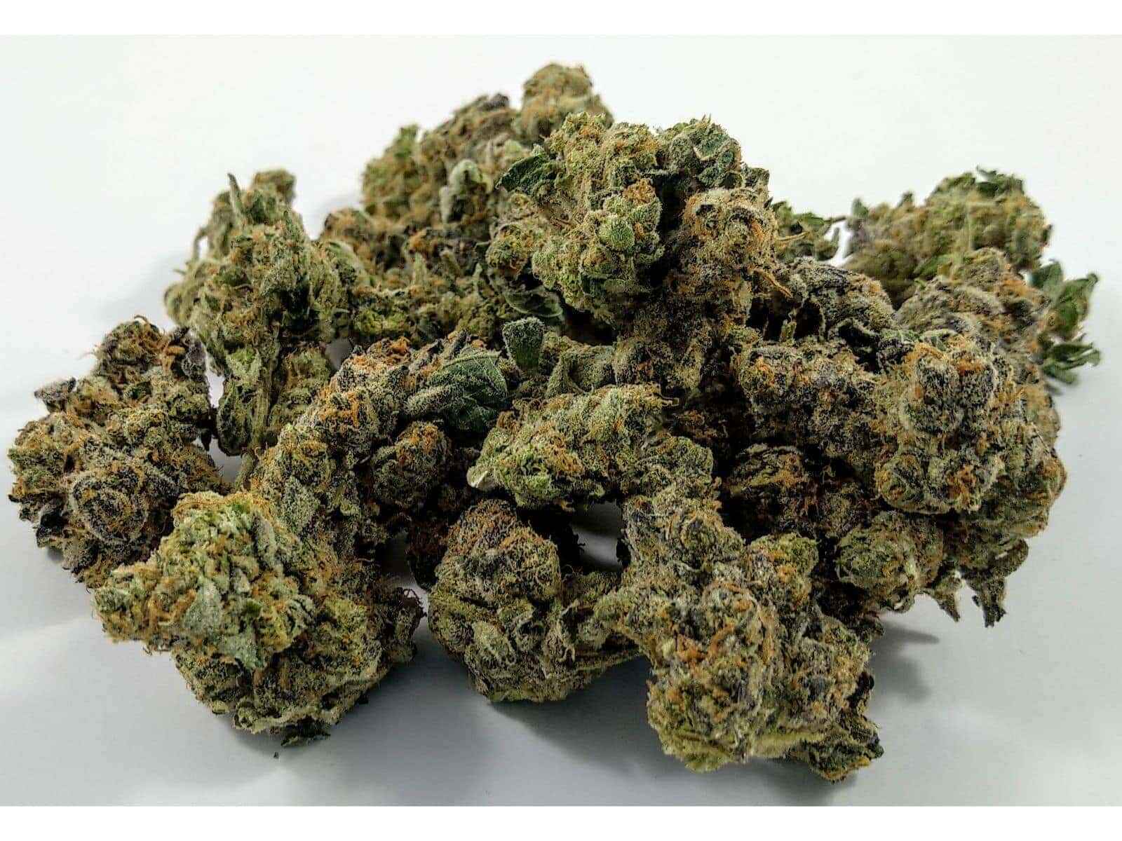 Special Kush