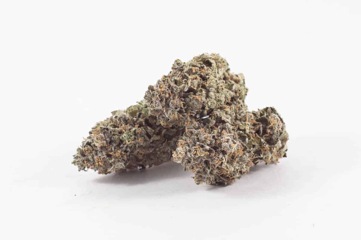 Tora Bora x Blue Dream