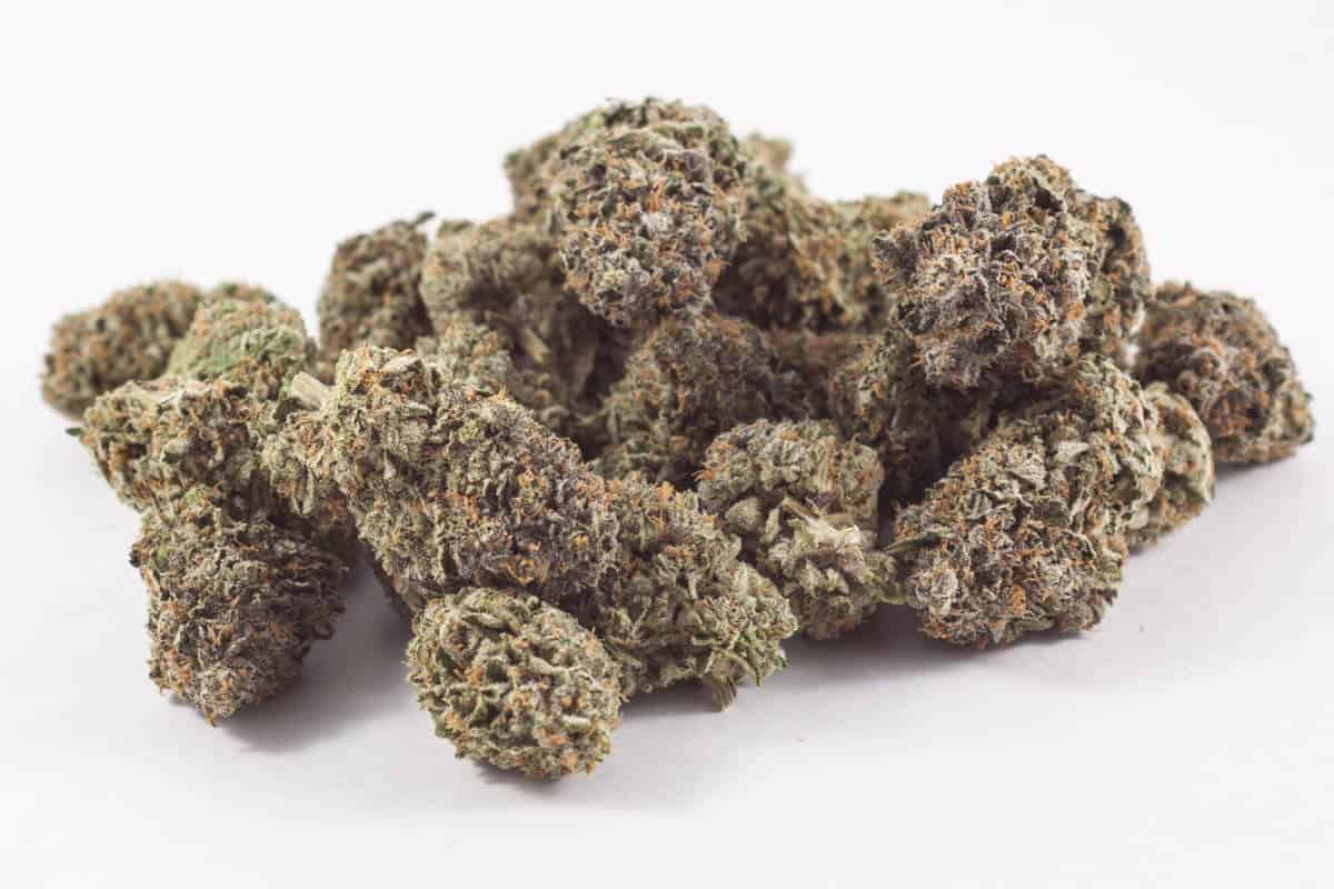 Tora Bora x Blue Dream