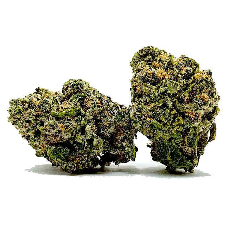 Tropicana Cookies AA