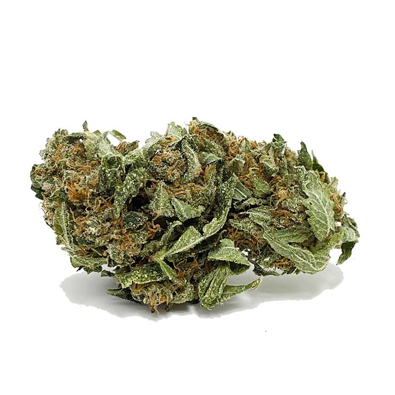 VIP OG AA