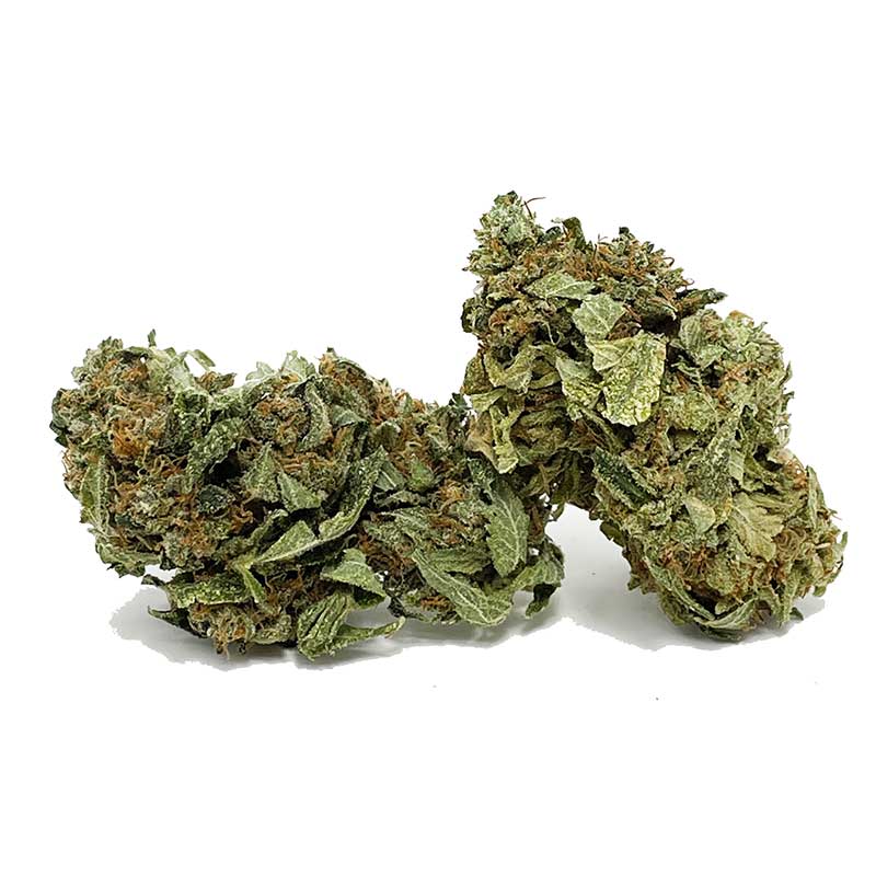 VIP OG AA