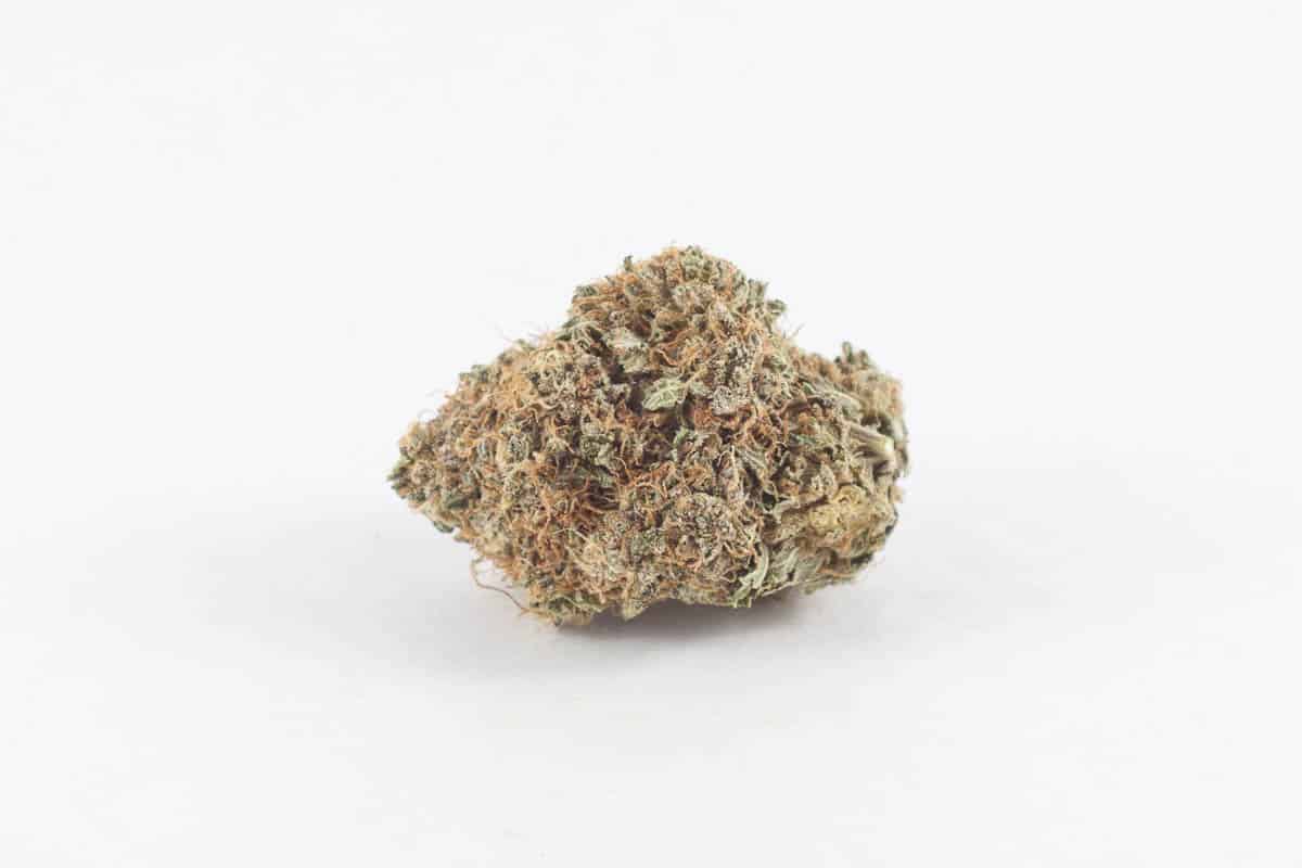 Yoda OG