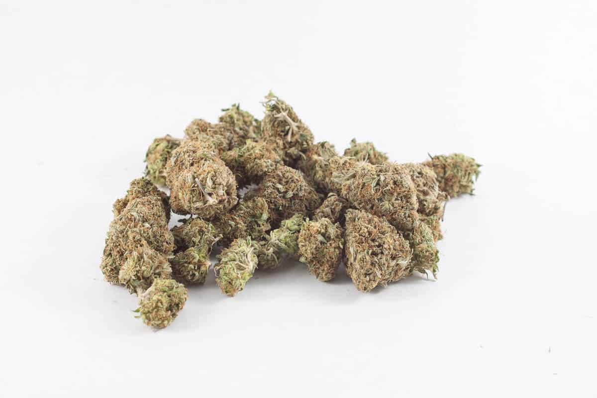 Yoda OG