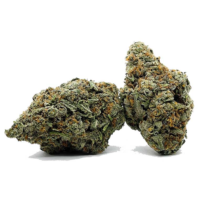 Zombie OG AAA