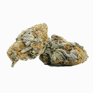 Gorilla Bomb AA