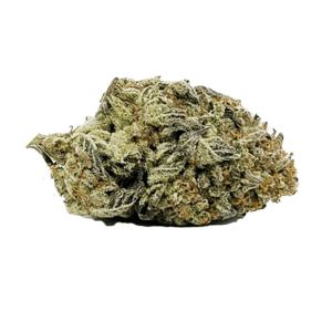 Gas Monkey AA