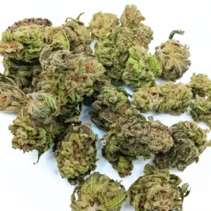 Buy Trainwreck Hybrid Online Canada – Potent Pine & Citrus Cannabis Strain