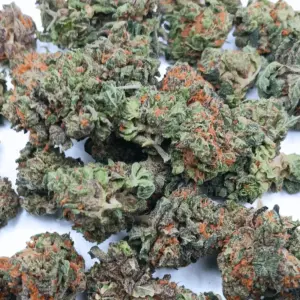 Death Bubba cannabis flower – High THC AA indica weed available in Canada