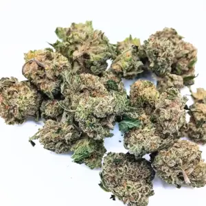 Buy Gas Monkey Weed Strain Canada – Indica-Dominant Hybrid Cannabis