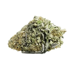 Buy Maui Wowie AA Weed in Canada – High THC Hawaiian Sativa Strain