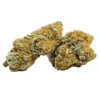 Buy Pineapple Express AA Weed in Canada – Sativa Hybrid from Shrooms Direct