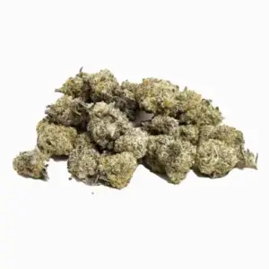 Buy Ghost Train Haze Weed Online Canada – High THC Sativa-Dominant Strain